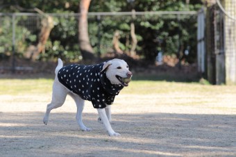 先週の平日♪ 先週の平日♪