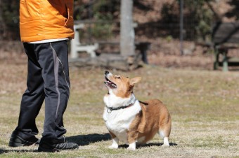 先週の平日♪ 先週の平日♪