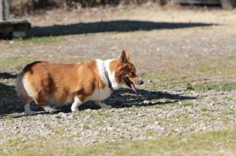 先週の平日♪ 先週の平日♪