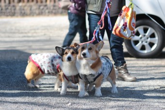先週の平日♪ 先週の平日♪