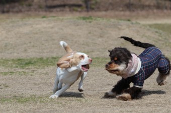 ニッコニコ♪ ニッコニコ♪