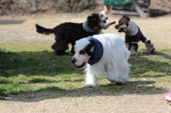ニッコニコ♪ ニッコニコ♪