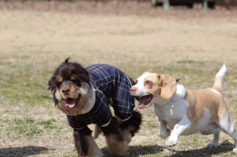ニッコニコ♪ ニッコニコ♪