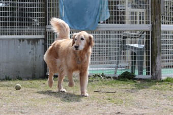 ニッコニコ♪ ニッコニコ♪