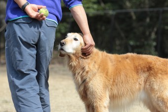 ニッコニコ♪ ニッコニコ♪