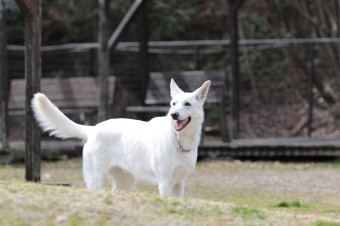ニッコニコ♪ ニッコニコ♪
