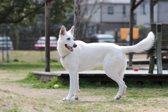 ニッコニコ♪ ニッコニコ♪
