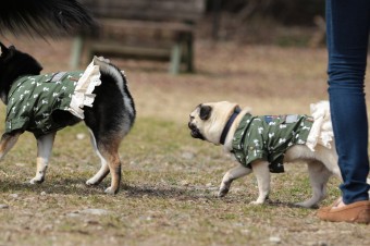 ニッコニコ♪ ニッコニコ♪