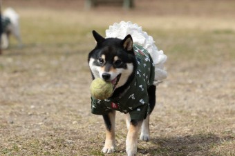 ニッコニコ♪ ニッコニコ♪