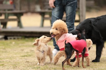ニッコニコ♪ ニッコニコ♪