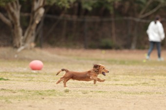 ニッコニコ♪ ニッコニコ♪