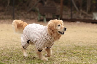 ニッコニコ♪ ニッコニコ♪