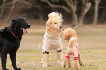 ニッコニコ♪ ニッコニコ♪