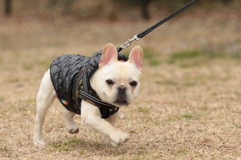 ニッコニコ♪ ニッコニコ♪