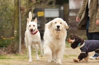 ニッコニコ♪ ニッコニコ♪