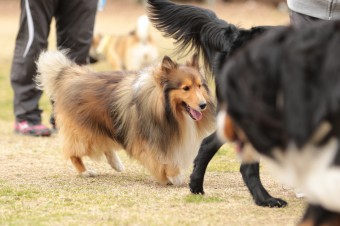 ニッコニコ♪ ニッコニコ♪