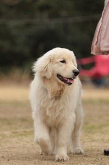 ニッコニコ♪ ニッコニコ♪