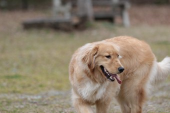 ニッコニコ♪ ニッコニコ♪