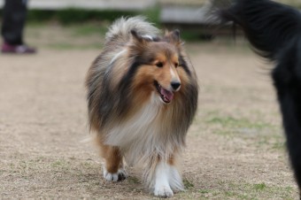 ニッコニコ♪ ニッコニコ♪