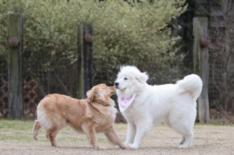 ニッコニコ♪ ニッコニコ♪