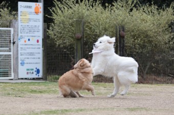 ニッコニコ♪ ニッコニコ♪