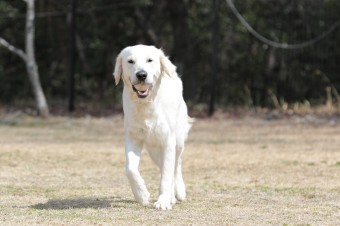 お休み♪ お休み♪