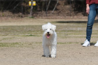 お休み♪ お休み♪