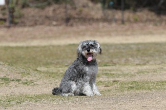 お休み♪ お休み♪