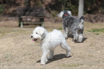 お休み♪ お休み♪