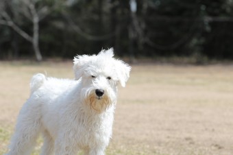 お休み♪ お休み♪