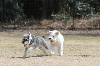 お休み♪ お休み♪