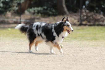 お休み♪ お休み♪