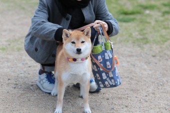 お休み♪ お休み♪