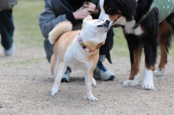 お休み♪ お休み♪
