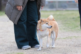 お休み♪ お休み♪