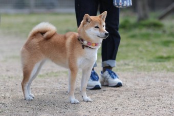 お休み♪ お休み♪