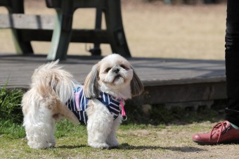 お休み♪ お休み♪