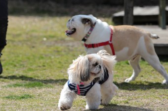 お休み♪ お休み♪