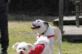 お休み♪ お休み♪