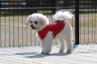 お休み♪ お休み♪
