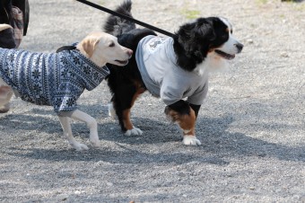 お休み♪ お休み♪