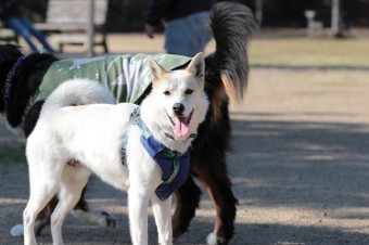 お休み♪ お休み♪