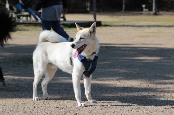お休み♪ お休み♪