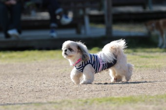 お休み♪ お休み♪