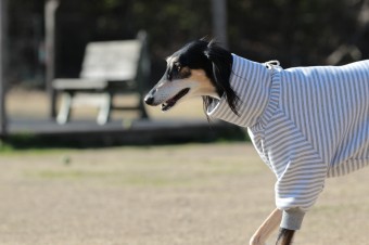 お休み♪ お休み♪