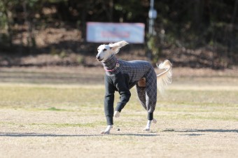お休み♪ お休み♪