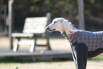 お休み♪ お休み♪