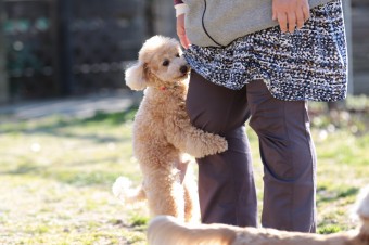 お休み♪ お休み♪