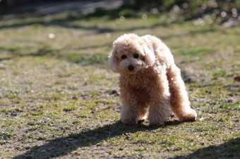 お休み♪ お休み♪