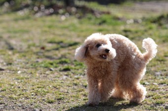 お休み♪ お休み♪